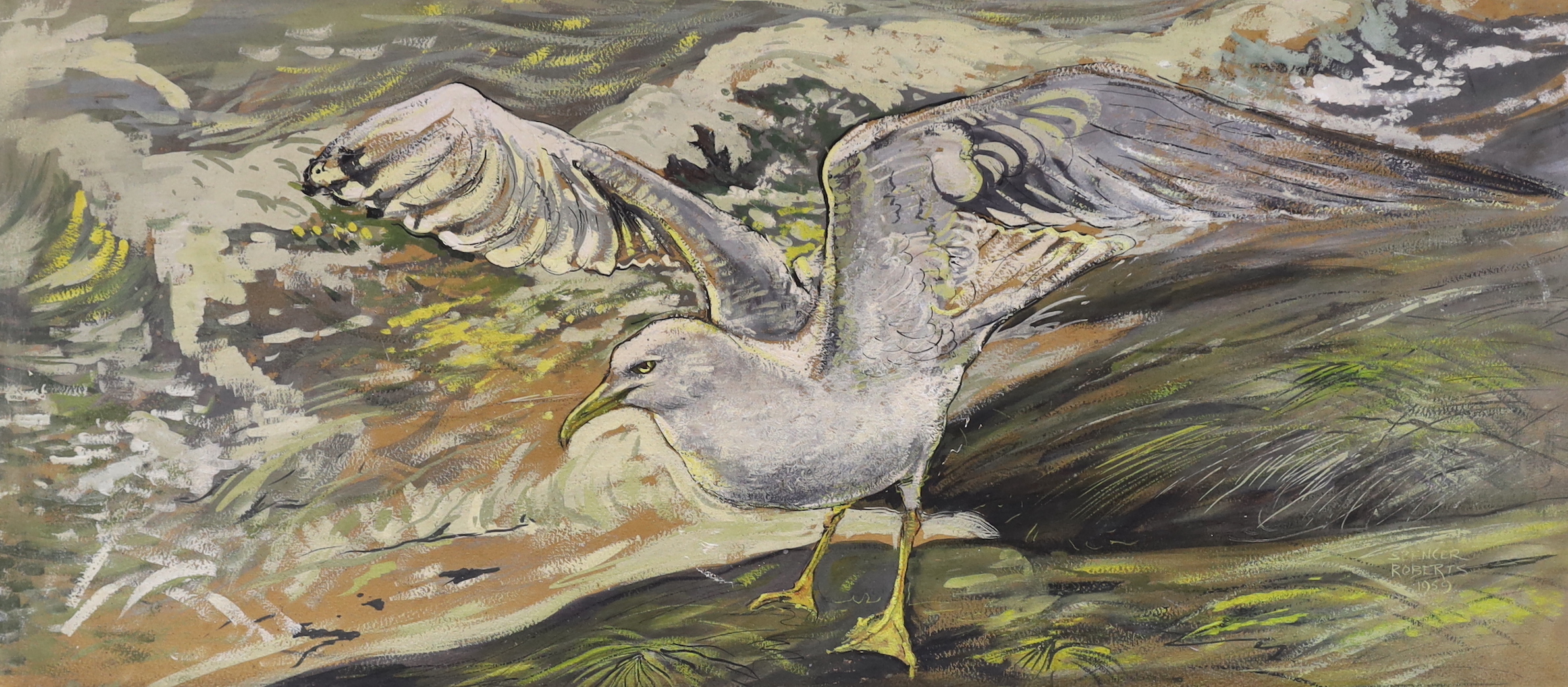 Spencer Roberts (1920-1997), oil on board, Study of a seagull, signed and dated 1959, 34 x 74cm